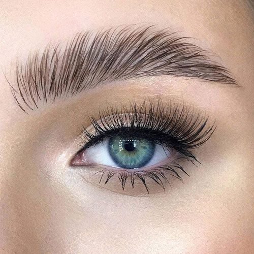 Brow lamination Close Look