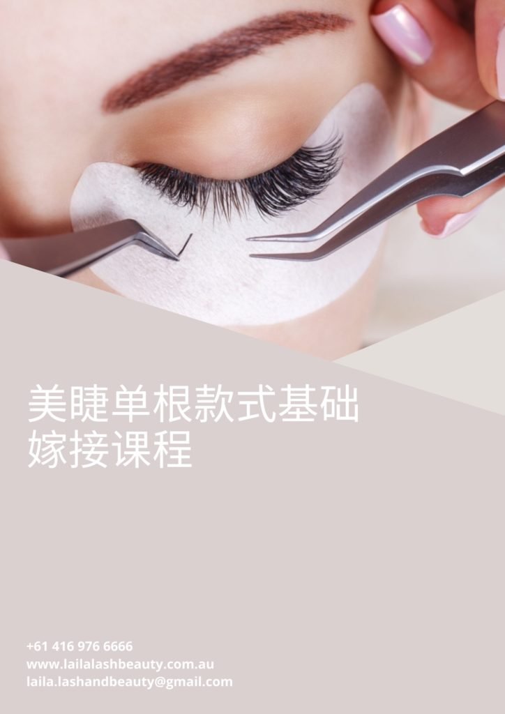 Classic Master Course Chinese