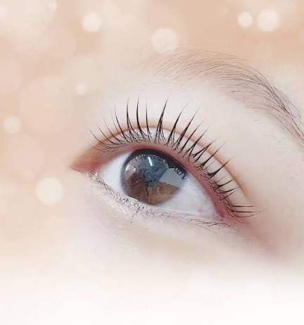 Korean Keratin Lash Lift Right Image